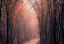 赛地聚焦：英超加时末段热度飙升，巴塞罗那遗憾出局，媒体盛赞，资深球员宣示担当的简单介绍-IM电竞赛事